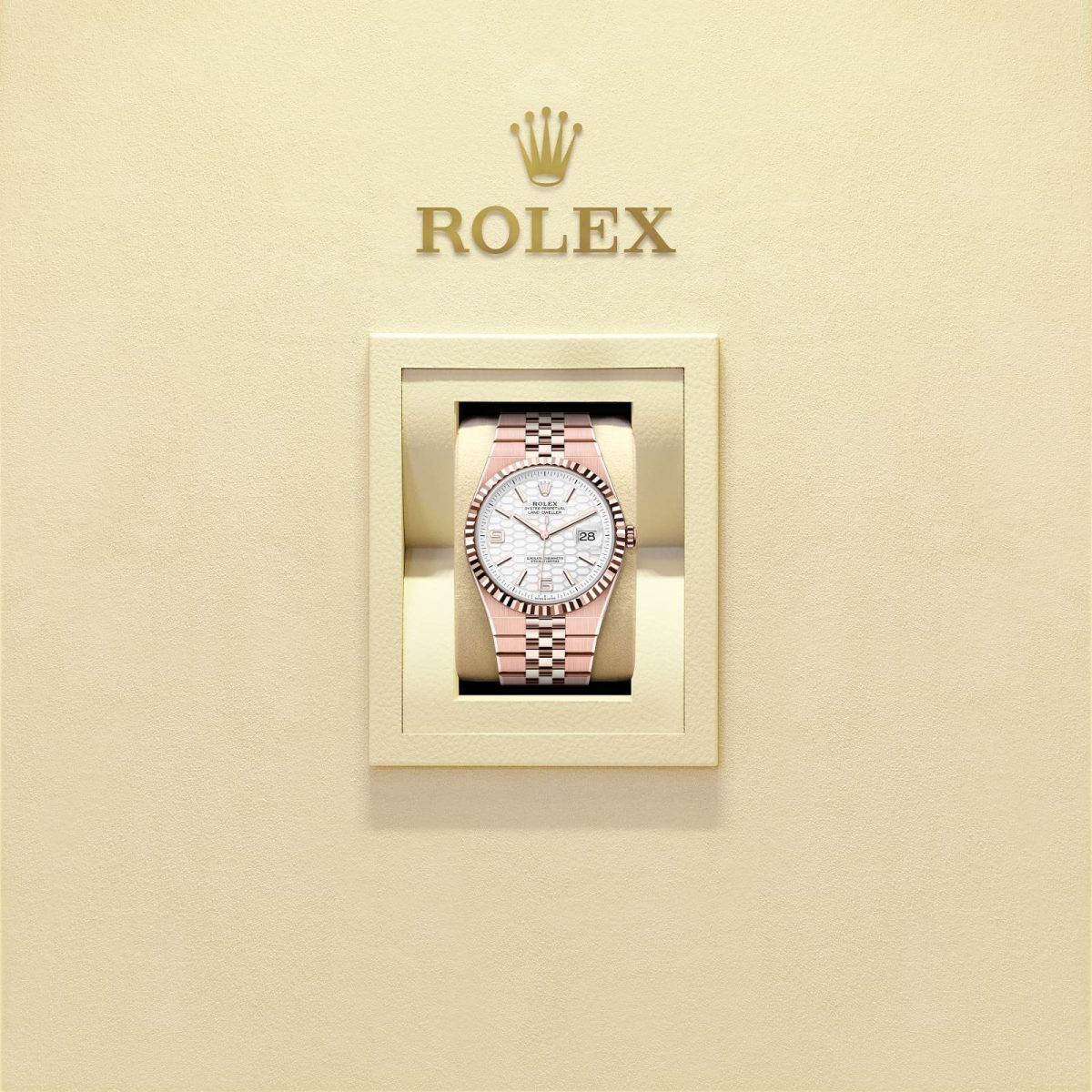ROLEX LAND DWELLER – EVEROSE GOLD – 2025 - Image 4