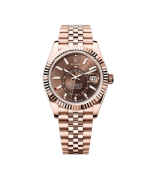 ROLEX SKY DWELLER (GOLD CHOCOLATE) - Image 8